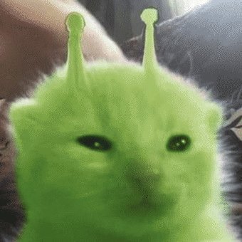 Site hosted by Neocities